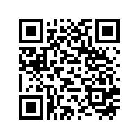 2022安徽大学国际青年学者论坛