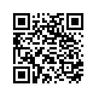 广东工业大学2024年国际青年学者论坛